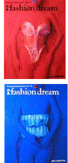 ぴあfashion dream上下巻写真