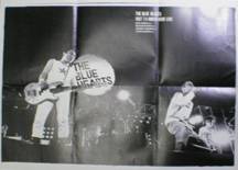 THE BLUE HEARTSポスタ写真